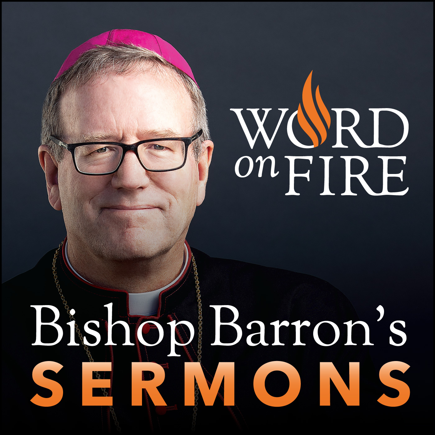 Bishop Barron's Sermons