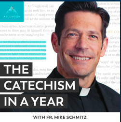Catechism in a Year Podcast